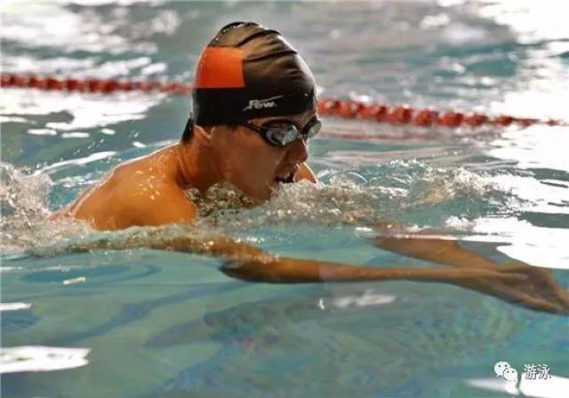 蛙泳动作要领图解 (含口诀)