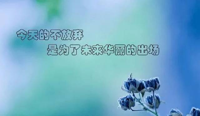 40d95224c9fe43e79cf5e010875788bf.jpeg