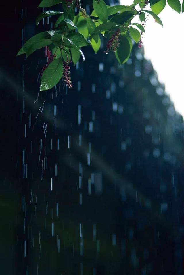 应该永远会记得雨天屋檐下的帘幕.