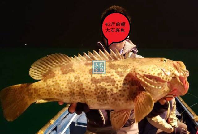 中国深海油井,收获一条45斤的石斑鱼,爆钓4条巨型深海大鱼