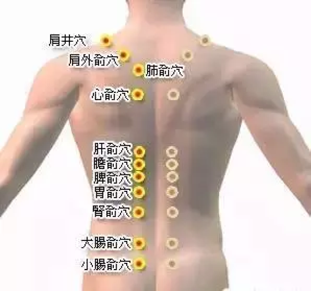 c3e3c1325f624bfbbc680d3dfac876e5.jpg