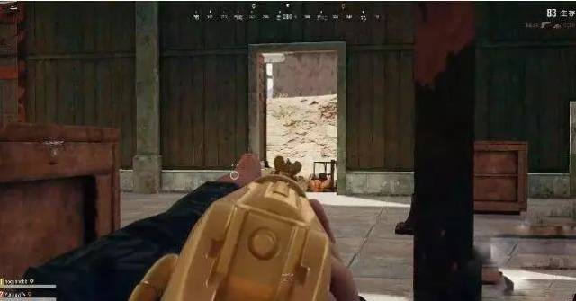 【pubg】绝地求生:现役弹道最稳定的5把枪,awm算一把