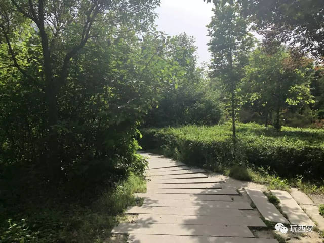 西科大高新学院 :让我再看你一眼,从北到南