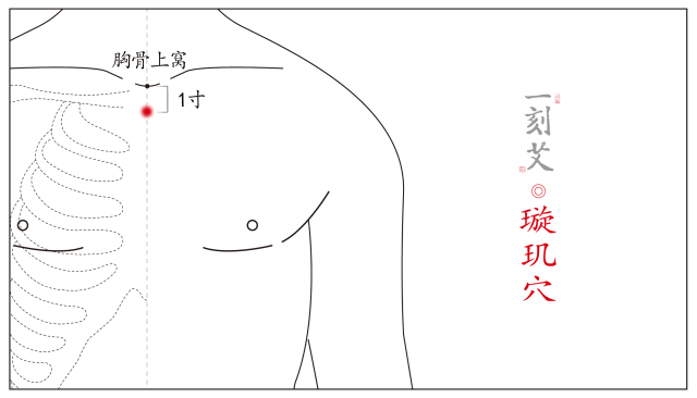 功效:调肠胃,通经络,安神志. 取穴:正坐低头,于颈部下端第7颈椎棘