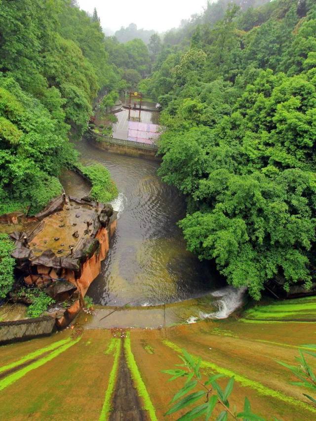 即使是下雨天去,都会自带仙气和朦胧的美感.