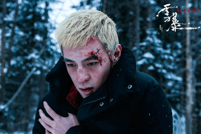 张震,倪妮一起主演的雪暴《电影》以及和杨幂,阮经天v雪暴的电视剧《扶韩雪跟土匪演的电视剧图片