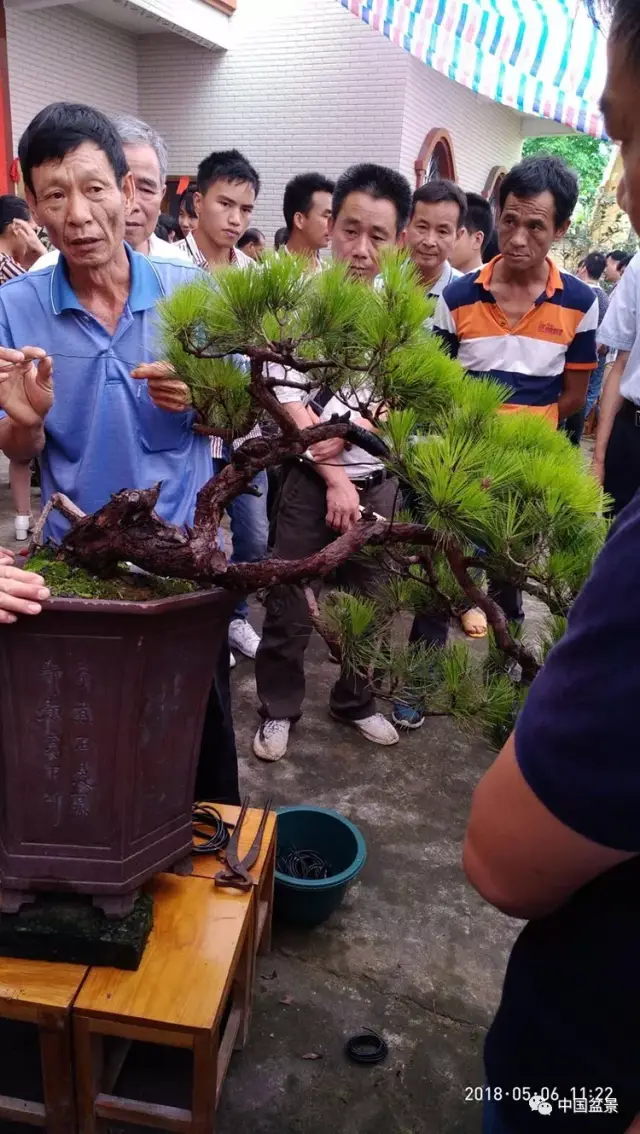 лǿ,,辰Эḱ᳤,辰