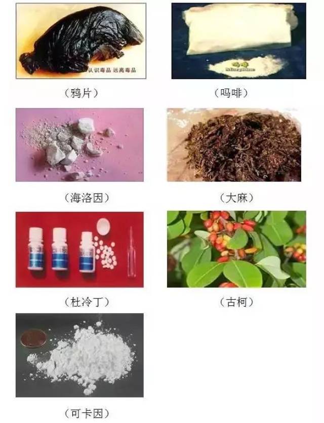 【二,毒品的危害】 (一)吸毒对社会的危害 1,对家庭的危害:家中一旦