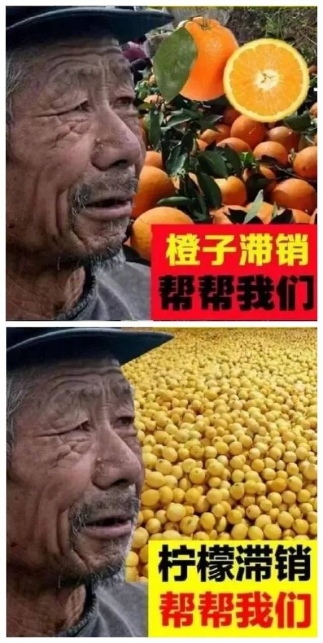 滞销,你大爷的!