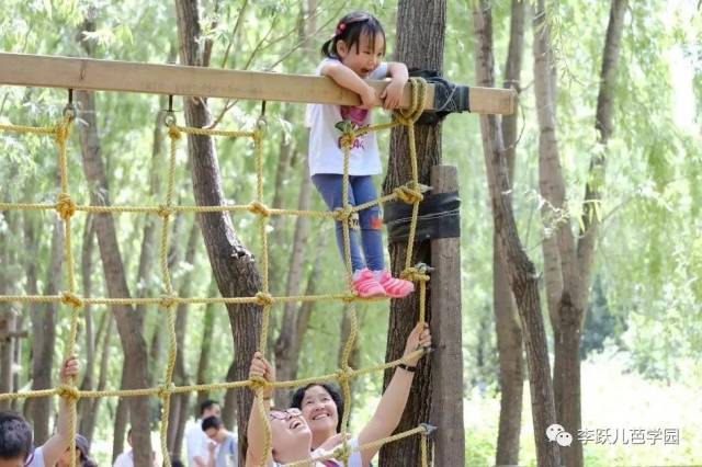 这个大型绳索网格,是 芭学园森林幼儿园的特色户外设施,森林园的孩子