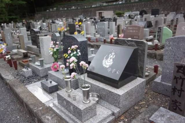 "它生前最爱吃虾,我要把虾刻在它的墓碑上."