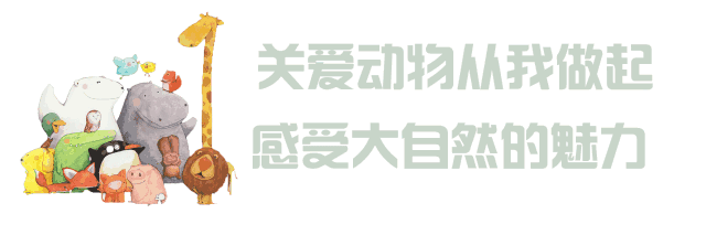如何复活一只恐龙?答案在.