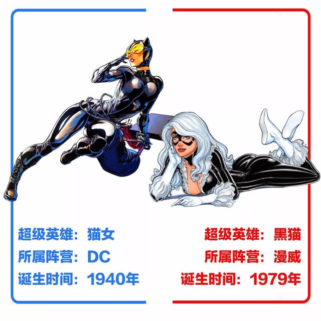 猫女 vs 黑猫