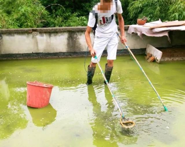 绵阳一男子电黄鳝不慎触电身亡!_手机搜狐网