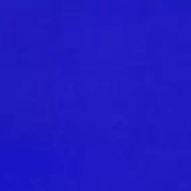 听说过伊夫·克莱因蓝吗?今年这颜色要盖满英国布伦海姆宫