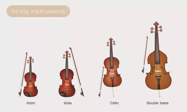 01 管弦乐团中常见的弦乐器,从左至右依次是: 小提琴,中提琴,大提琴