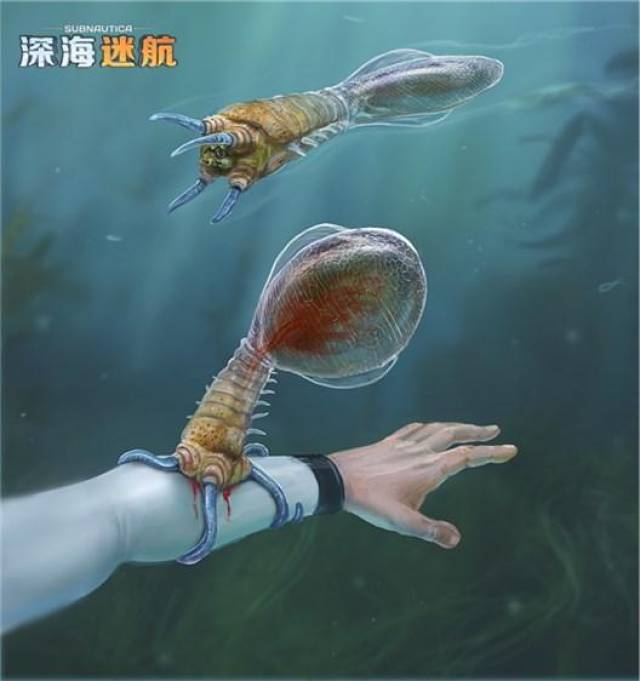 深海迷航》——迷失异星海底震撼视觉