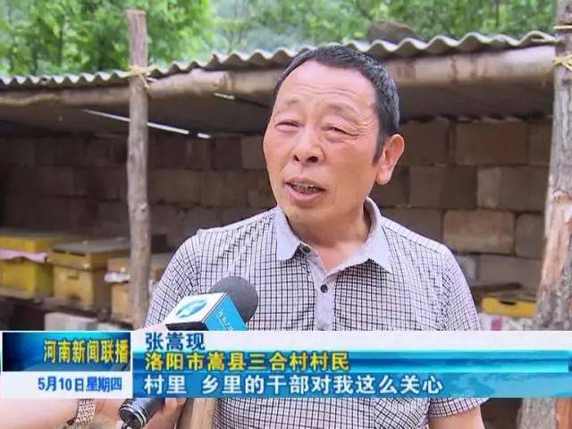 【山沟蜕变】嵩县三合村:山沟沟里的甜蜜蜜