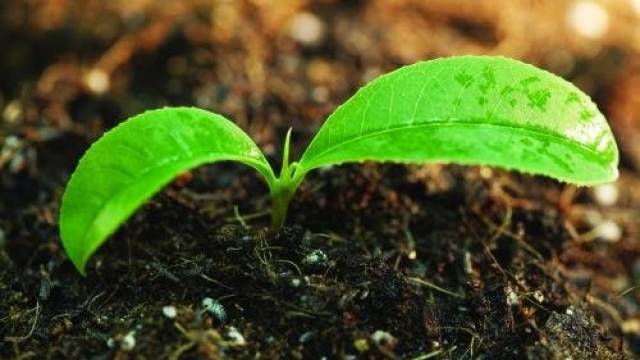 中国科学技术大学2018中学生创新潜质集训夏令营