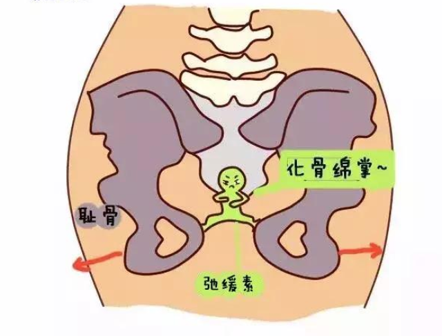 两个女人大屁股猜成语_看图猜成语500个图片