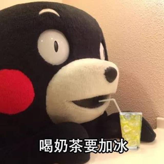 熊本熊表情包:喝奶茶是不会胖的