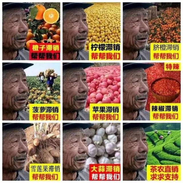 回应: