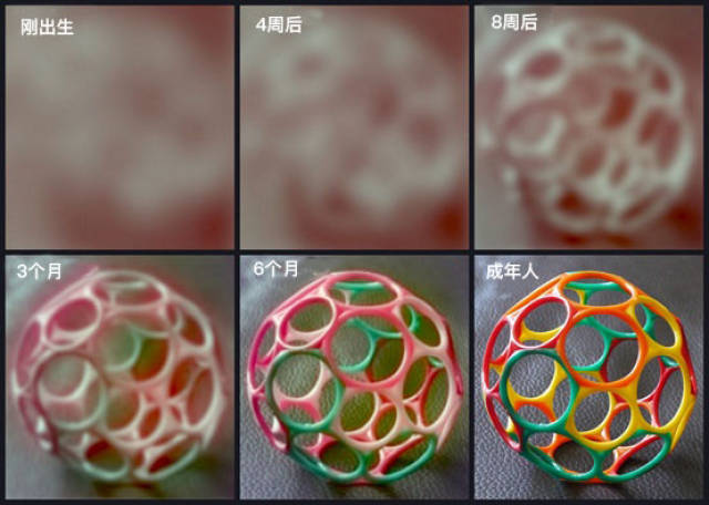 如何帮助1岁前宝宝的视力发育