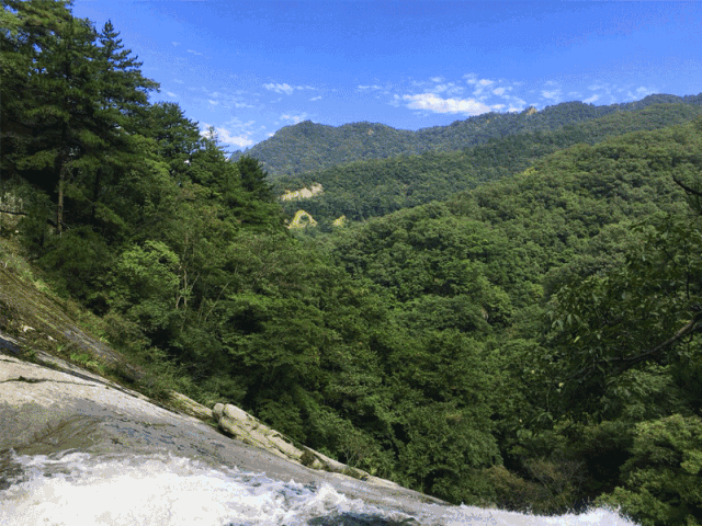 温馨提示: 1.自驾车的朋友至内乡宝天曼,导航请搜索:内乡县葛条爬村.