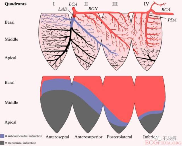 细说心电图|是否该废除"前间壁心肌梗死"这一诊断?