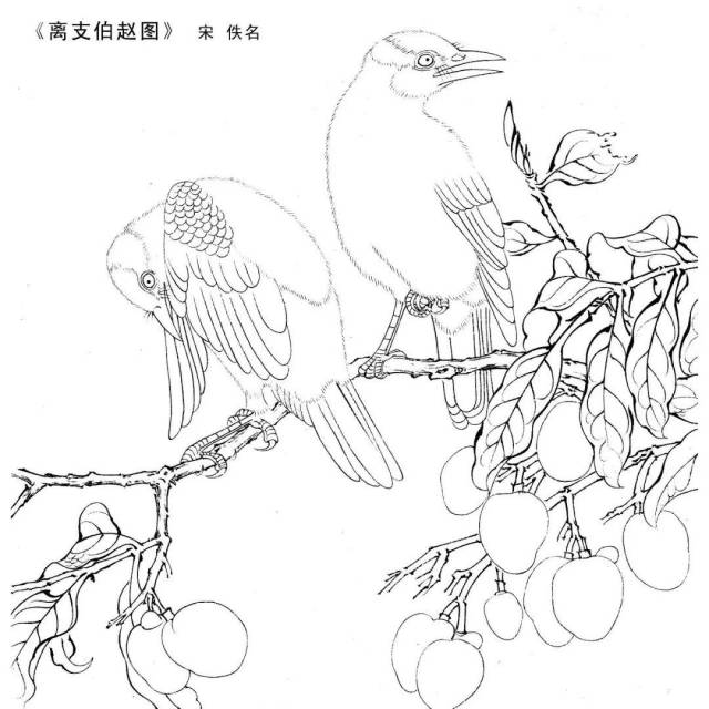 宋画工笔白描,最好的国画学习素材