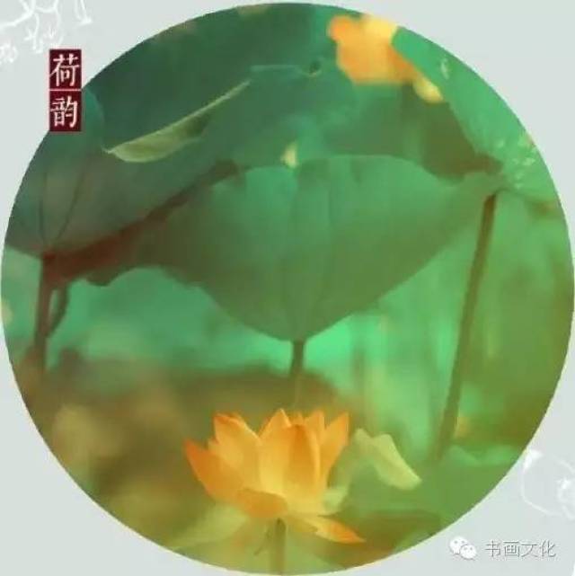 十首绝美的咏荷古诗