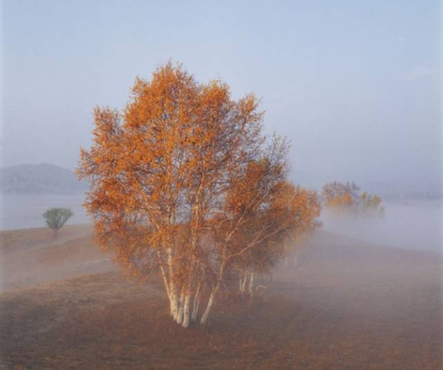 达芬奇告诉你|如何利用空气透视营造空间感
