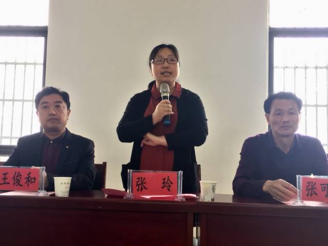 县卫计委主任张可松同志主持了启动仪式,县政府副县长张玲介绍了定远