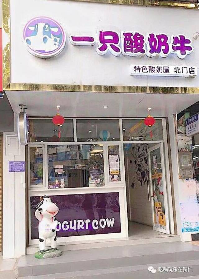 "红到发紫"的一只酸奶牛北门店,母亲节带着妈妈去喝养身酸奶,小小一杯