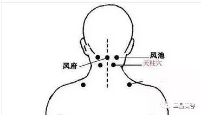 风池穴与天柱穴部位比较相近,天柱穴相对于凤池穴偏下,下图可以鉴别.