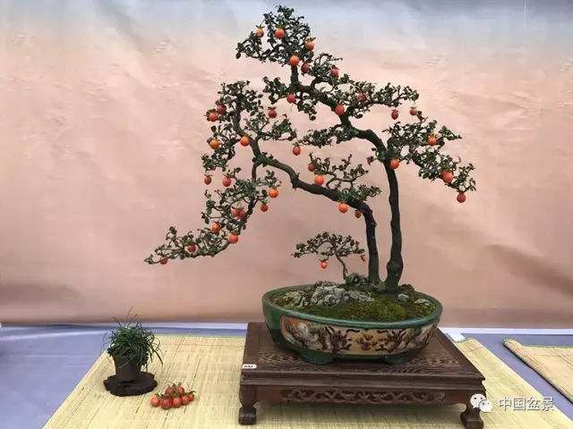 一本双杆盆景仿佛母子相拥