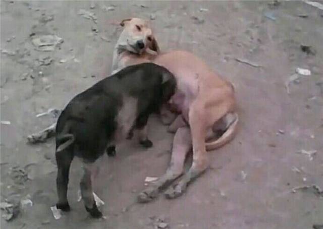 aae3b58a6b094e1cba3fde9a8d08e721.jpeg