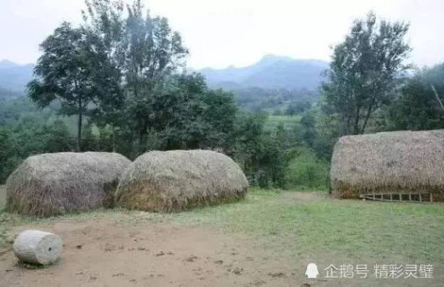 灵璧人口有多少_灵璧奇石