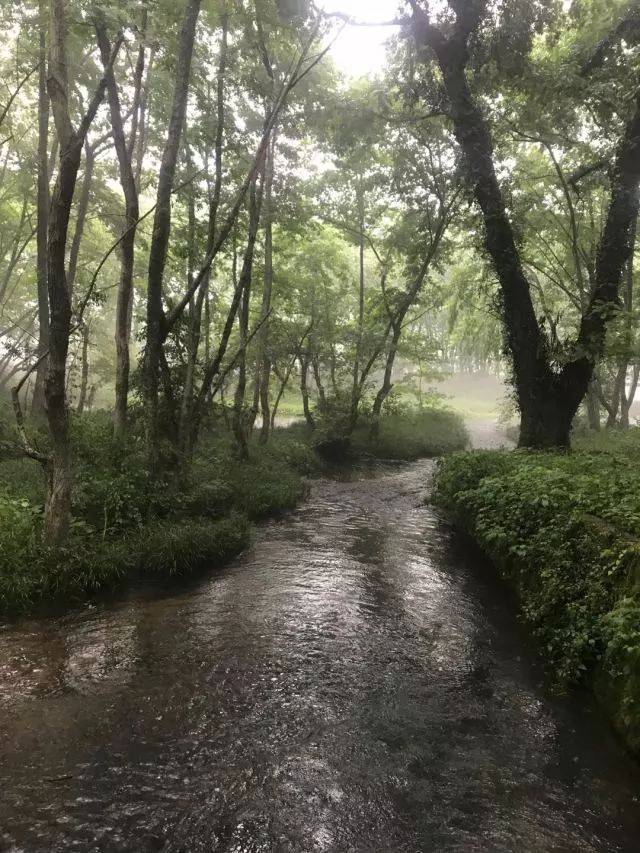 雨中西溪南,此生难觅的美景;神秘呈坎,千年古村蕴藏的智慧