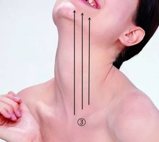 3,仰头,由锁骨上方开始,顺着脖子曲度向上推至下颌骨重读10次,换侧.