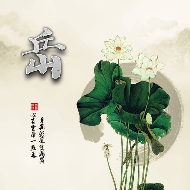 《荷花》微信头像,18张百家姓头像,锁屏壁纸,一定不要
