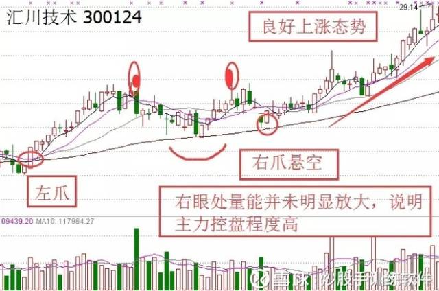 其实从形态上来说,右眼位置有点变形,但是还是能看出"金蛤蟆"形态