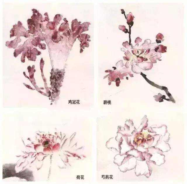 国画技法:没骨花卉画法