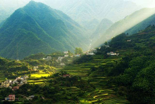 龙岗镇五星村位于浙西大峡谷的中部,由原来的上坪村,下坪村,三珑村三