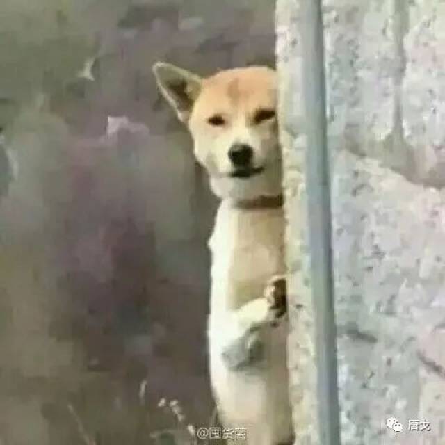 肥唐说:川航迫降机长刘传健,中国版萨利机长