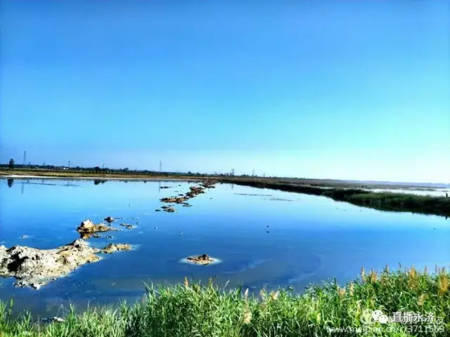 组图:醉美伍姓湖 永济好风光