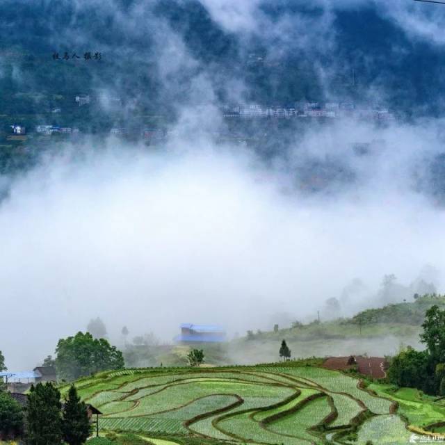 云雾缭绕处,开州大德镇 梯田生绿意,蜿蜒入夏去 这样的盛景 你可曾