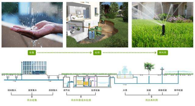 雨水收集和利用系统