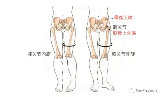 膝关节,踝关节稳定性差,跑步的时候更容易崴脚;臀部肌肉无力,站久了