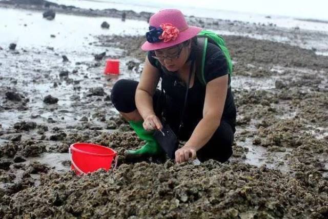 青岛9大赶海圣地,老青岛都抢着去!